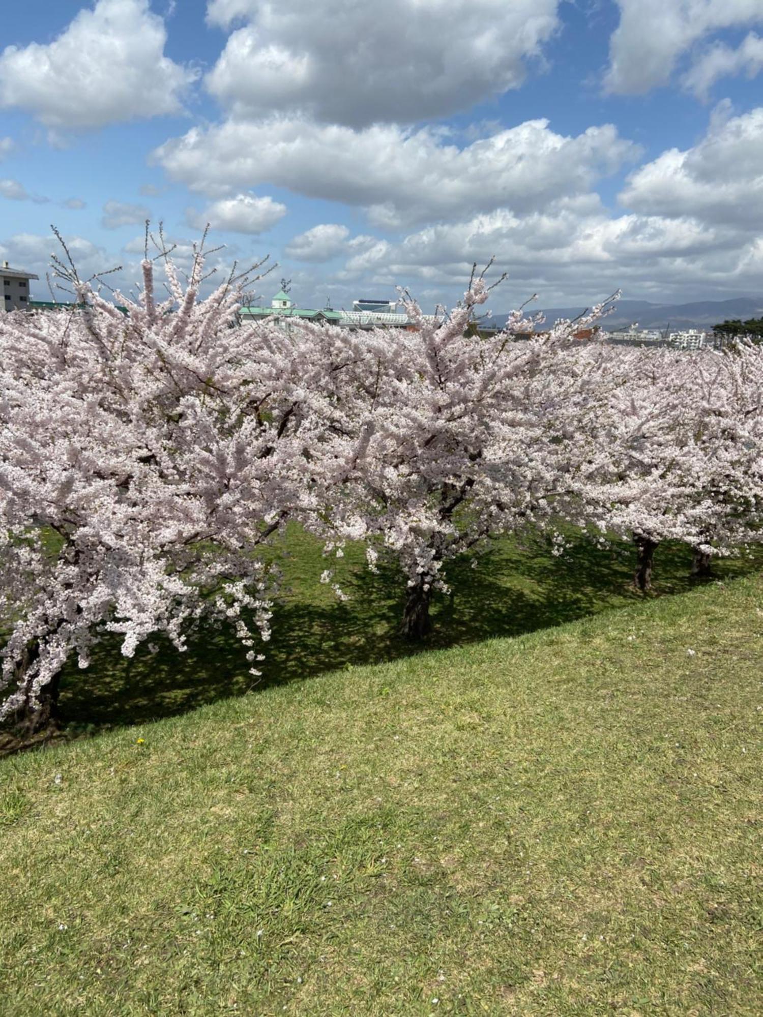 Yunohama Hotel Hakodate Zewnętrze zdjęcie