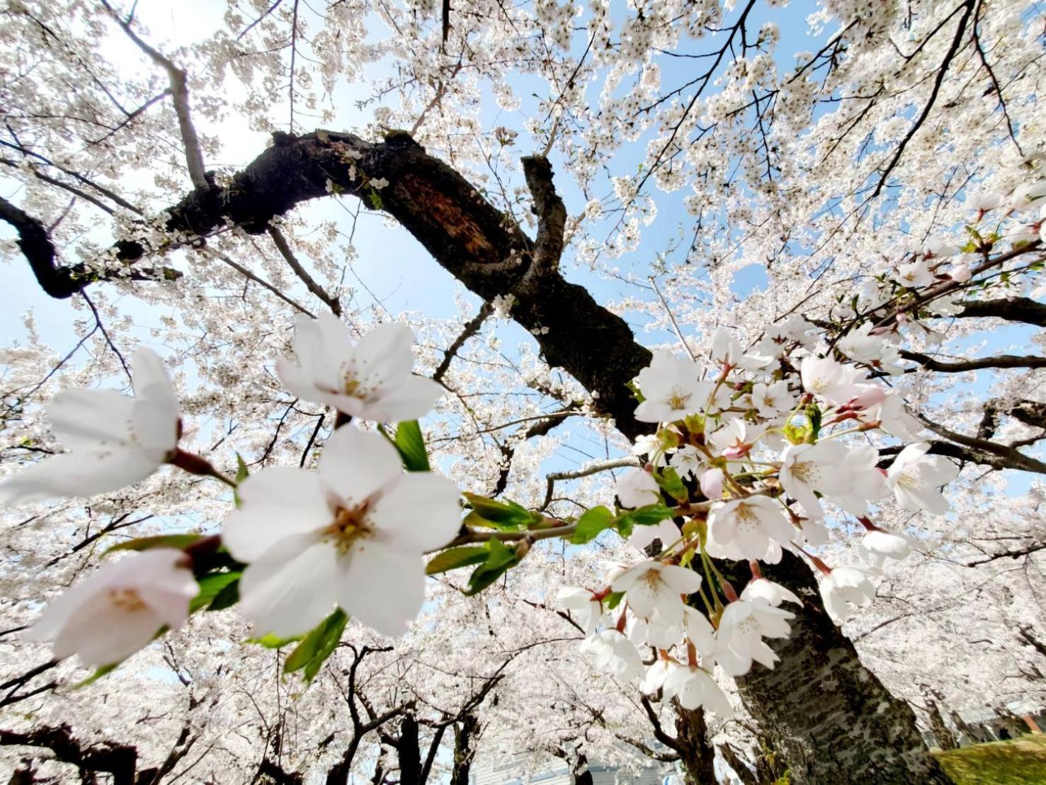 Yunohama Hotel Hakodate Zewnętrze zdjęcie