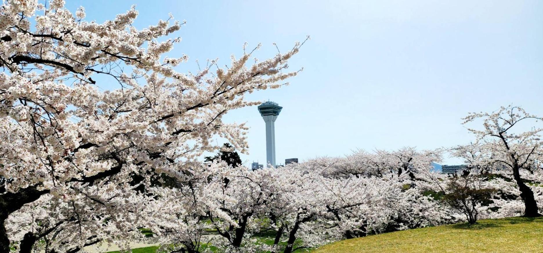 Yunohama Hotel Hakodate Zewnętrze zdjęcie